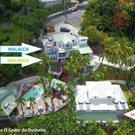 Studio Malacca et Malanga- Ô Cœur de Deshaies Exterior foto