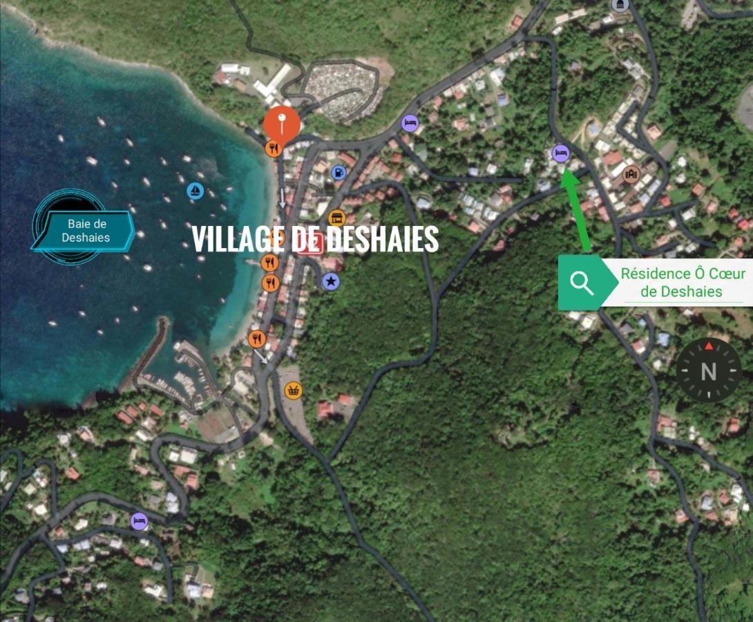 Studio Malacca et Malanga- Ô Cœur de Deshaies Exterior foto