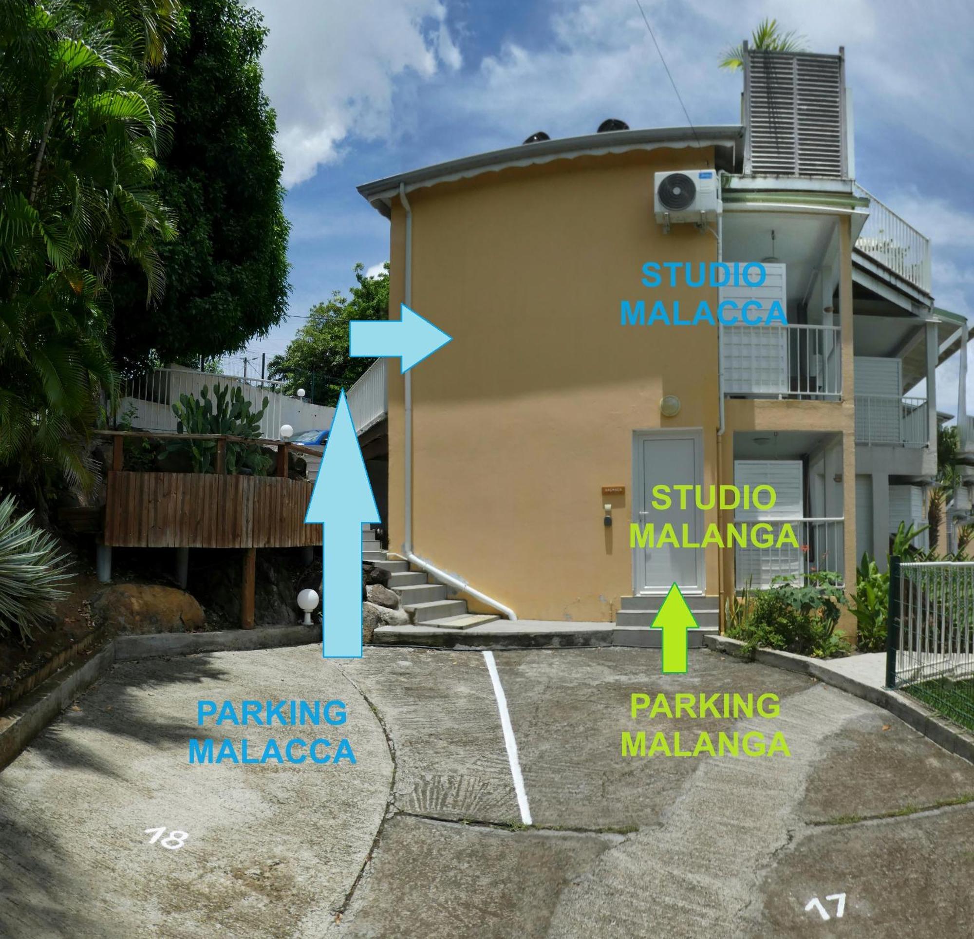 Studio Malacca et Malanga- Ô Cœur de Deshaies Exterior foto