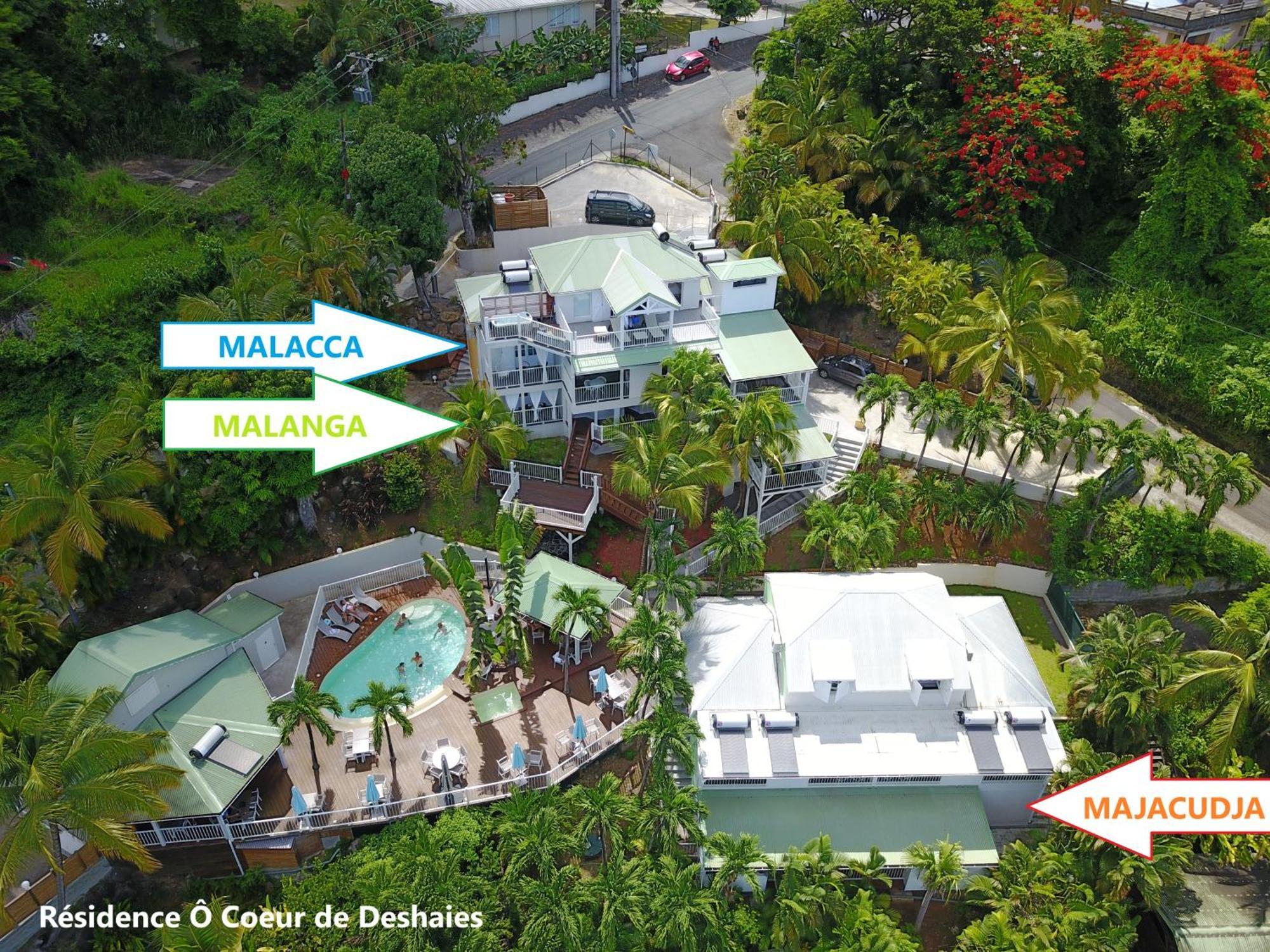 Studio Malacca et Malanga- Ô Cœur de Deshaies Exterior foto
